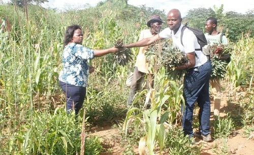 orphelinat mama africa joy